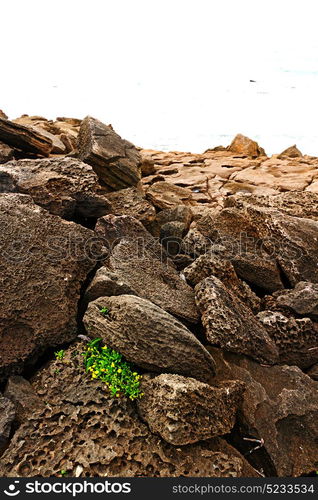 blur in south africa sky ocean isimagaliso reserve nature and rocks