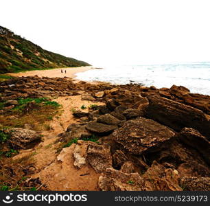 blur in south africa sky ocean isimagaliso reserve nature and rocks