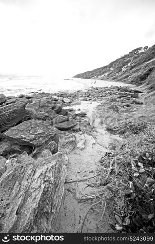 blur in south africa sky ocean isimagaliso reserve nature and rocks