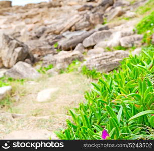 blur in south africa sky ocean isimagaliso reserve nature and rocks