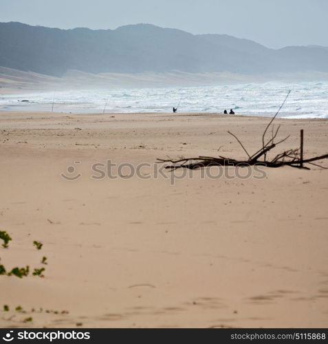 blur in south africa sky ocean tsitsikamma reserve nature and beach