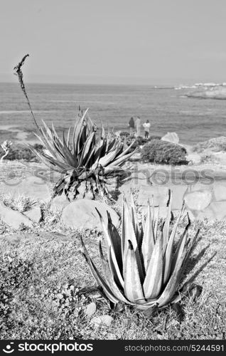 blur in south africa sky ocean tsitsikamma reserve nature and beach