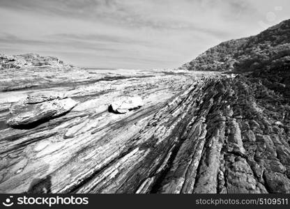 blur in south africa sky ocean tsitsikamma reserve nature and rocks