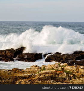 blur in south africa sky ocean tsitsikamma reserve nature and rocks