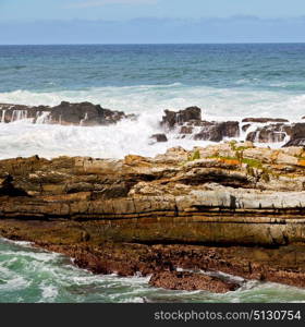 blur in south africa sky ocean tsitsikamma reserve nature and rocks