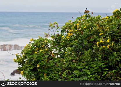 blur in south africa sky ocean tsitsikamma reserve nature and rocks