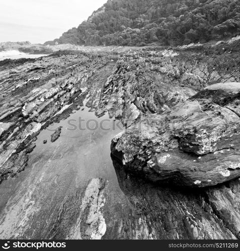 blur in south africa sky ocean tsitsikamma reserve nature and rocks