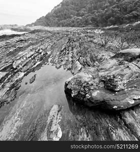 blur in south africa sky ocean tsitsikamma reserve nature and rocks