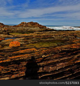 blur in south africa sky ocean tsitsikamma reserve nature and rocks