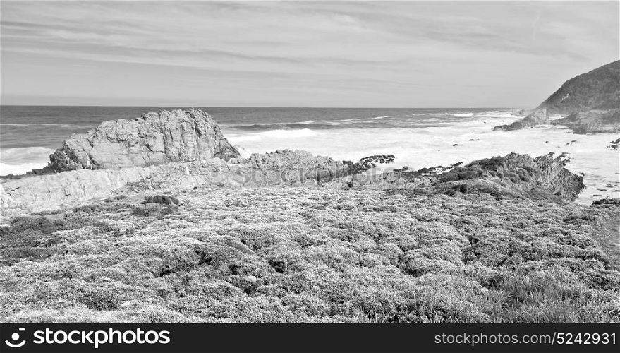 blur in south africa sky ocean tsitsikamma reserve nature and rocks