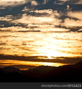 blur in south africa sunrise near branch tree like abstract background