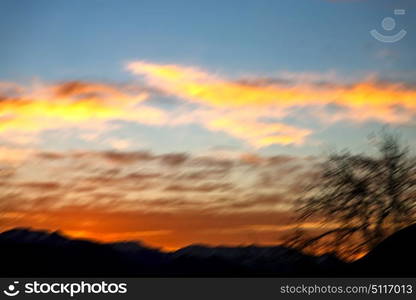 blur in south africa sunrise near branch tree like abstract background