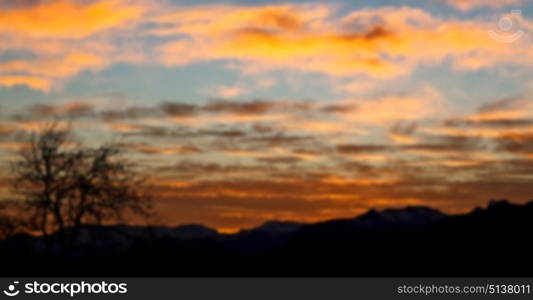 blur in south africa sunrise near branch tree like abstract background