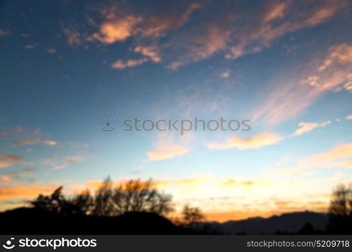 blur in south africa sunrise near branch tree like abstract background