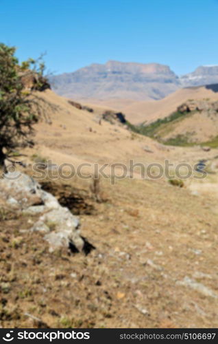 blur in south africa valley of desolation dirty road rock tree and sky