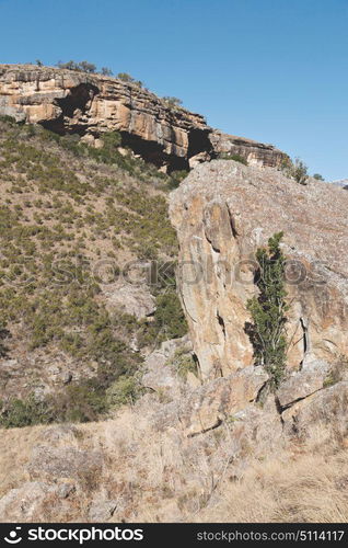 blur in south africa valley of desolation dirty road rock tree and sky