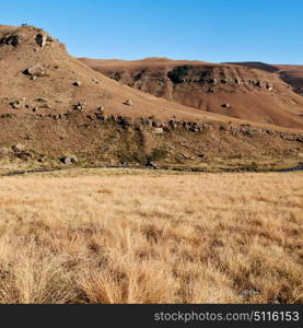 blur in south africa valley of desolation dirty road rock tree and sky