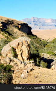 blur in south africa valley of desolation dirty road rock tree and sky