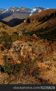 blur in south africa valley of desolation dirty road rock tree and sky