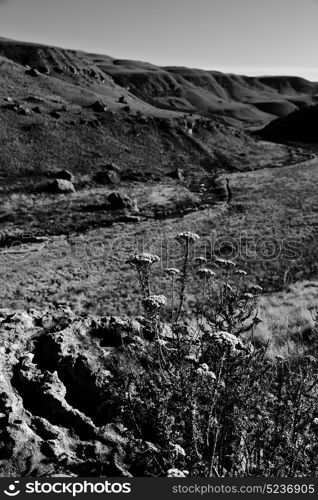 blur in south africa valley of desolation dirty road rock tree and sky