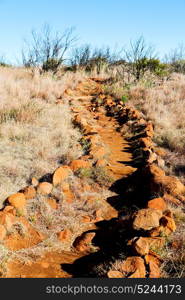 blur in south africa valley of desolation dirty road rock tree and sky