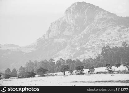 blur in swaziland mlilwane wildlife nature reserve mountain and tree