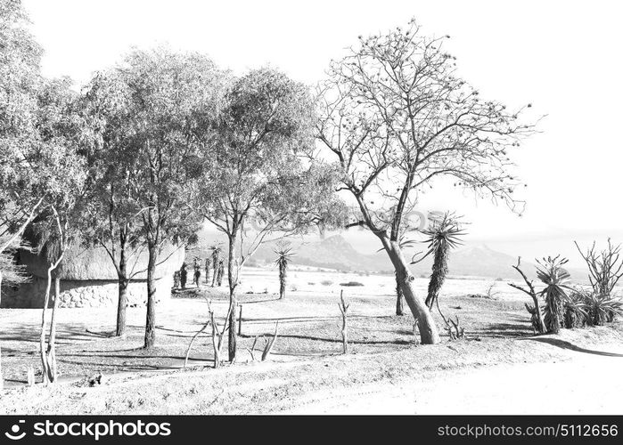 blur in swaziland mlilwane wildlife nature reserve mountain and tree