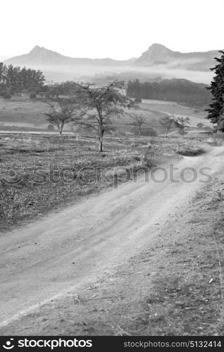 blur in swaziland mlilwane wildlife nature reserve mountain and tree