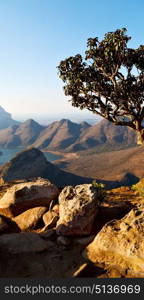 blur in swaziland mlilwane wildlife nature reserve mountain and tree