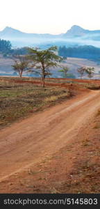 blur in swaziland mlilwane wildlife nature reserve mountain and tree