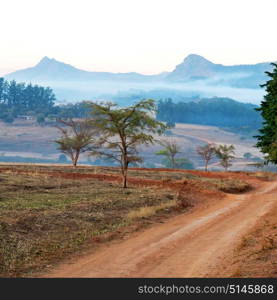 blur in swaziland mlilwane wildlife nature reserve mountain and tree