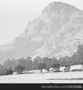 blur in swaziland mlilwane wildlife nature reserve mountain and tree