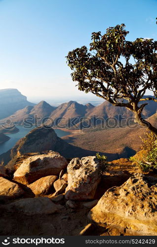 blur in swaziland mlilwane wildlife nature reserve mountain and tree