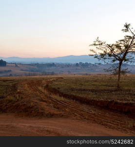 blur in swaziland mlilwane wildlife nature reserve mountain and tree