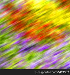 blur in the spring colors flowers and garden