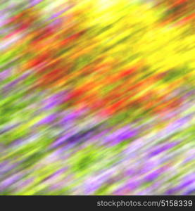 blur in the spring colors flowers and garden