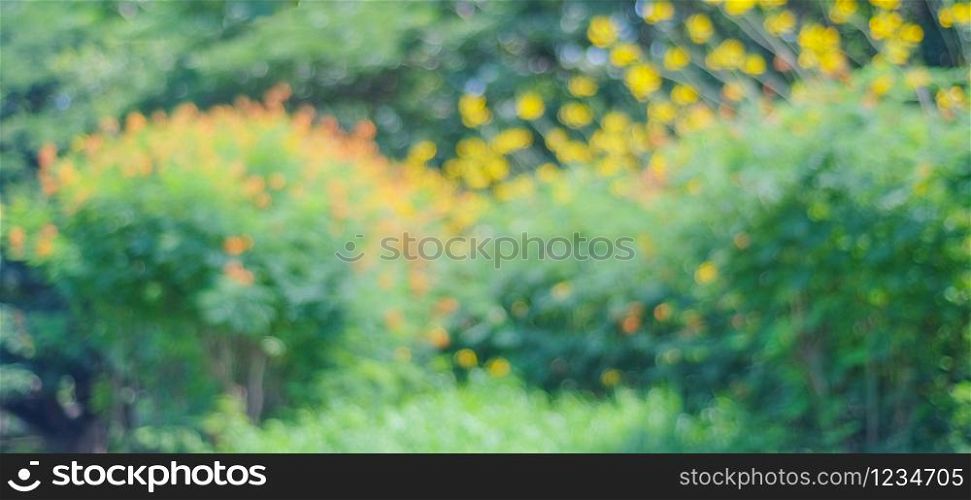 Blur park with bokeh light background, nature, garden, spring and summer season