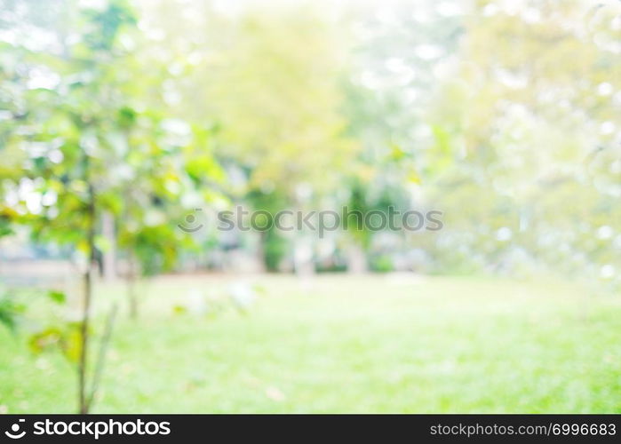 Blur park with bokeh light background, nature, outdoors, garden, spring and summer season