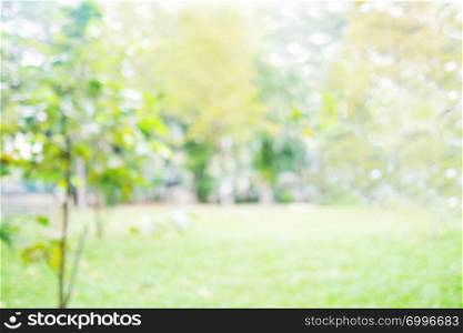 Blur park with bokeh light background, nature, outdoors, garden, spring and summer season
