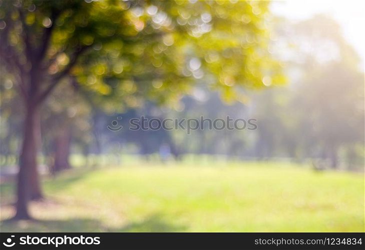 Blur park with golden and bokeh light background, nature, garden, spring and summer season