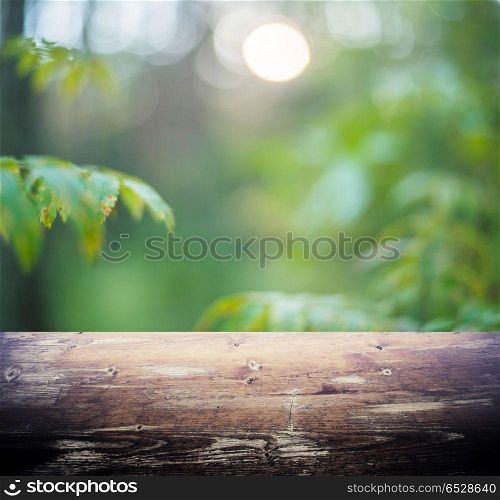 Blur summer forest bokeh. Wood plate background. Blur summer forest bokeh. Blur summer forest bokeh