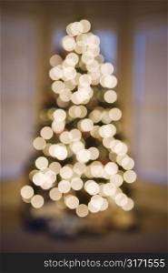 Blurred abstract Christmas tree lights.