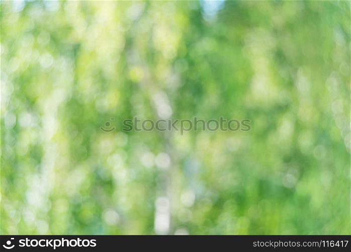 Blurred abstract natural yellow-green background with beautiful bokeh