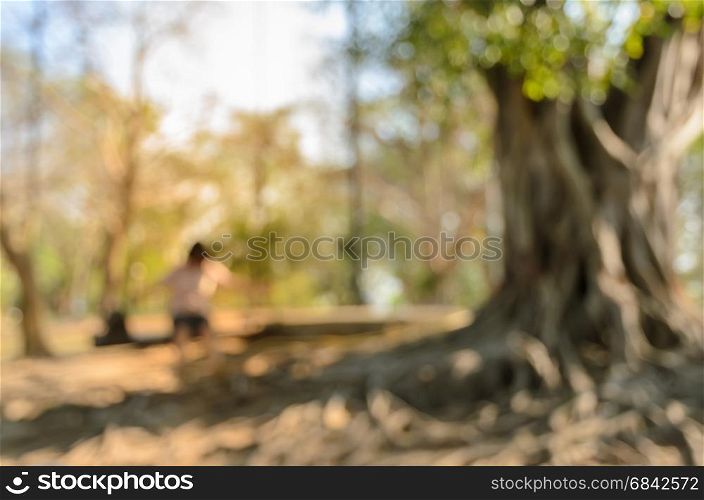 Blurred abstract nature green park with sunlight background