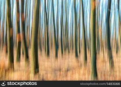 Blurred abstract picture of a forest in autumn time