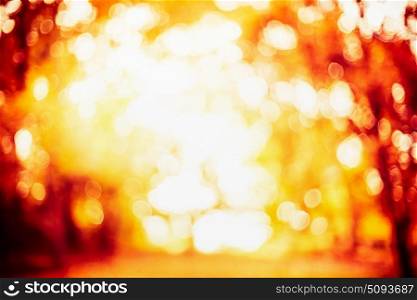 Blurred autumn foliage bokeh with sunbeams , fall outdoor nature background