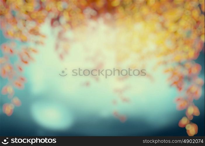 Blurred autumn foliage in sunset light on blue nature background, toned