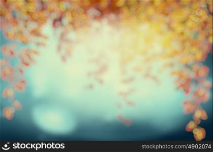 Blurred autumn foliage in sunset light on blue nature background, toned