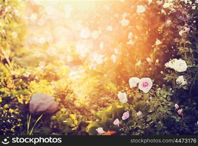 Blurred autumn garden or park nature background with roses flowers