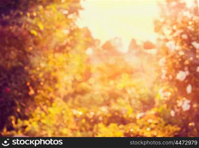 Blurred autumn nature background with sun light and bokeh